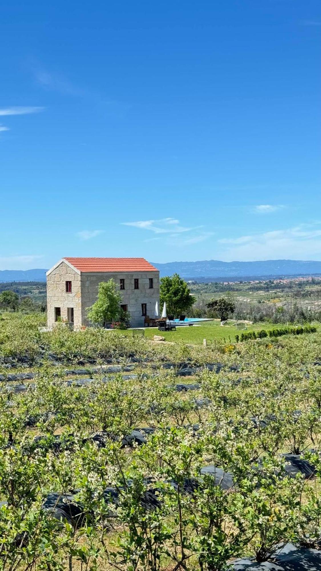 Quinta Da Cumieira Nova Villa Seia Ngoại thất bức ảnh